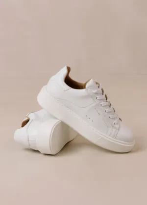 Tb.65 Apple Bright White