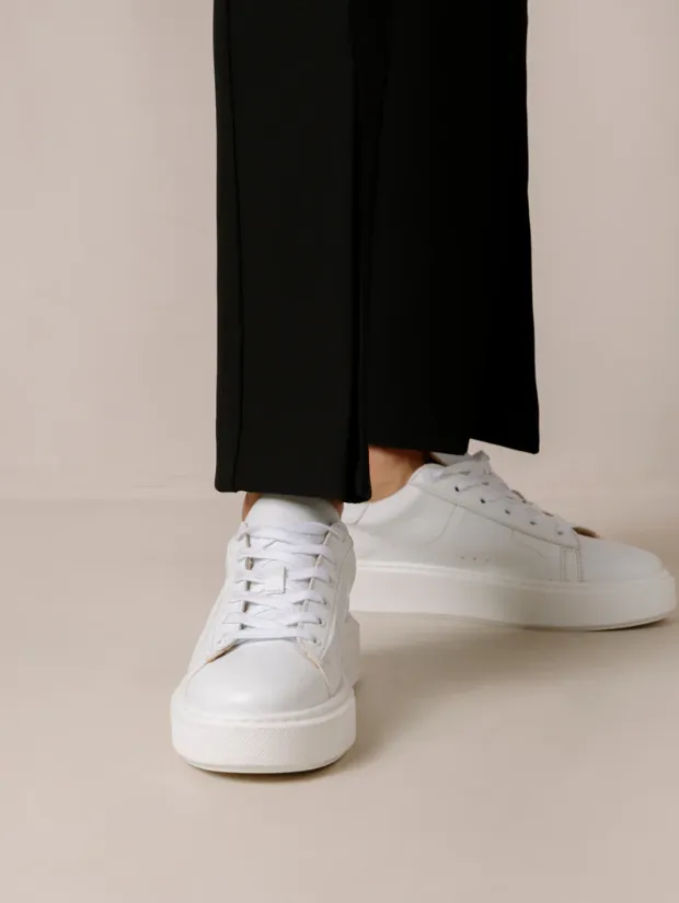 Tb.65 Apple Bright White